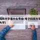 电子科技大学是什么专业(电子科技大学是指哪个大学)